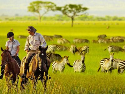 Private Safaris