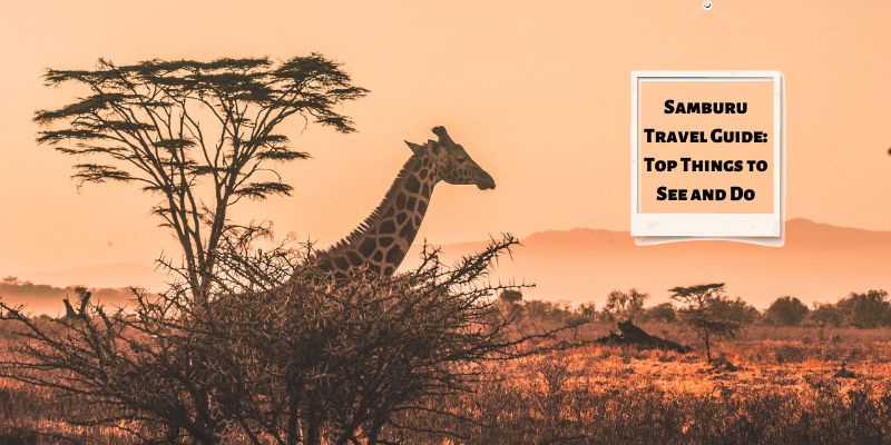 Parco Nazionale Samburu: riserva di fauna selvatica in Kenya
