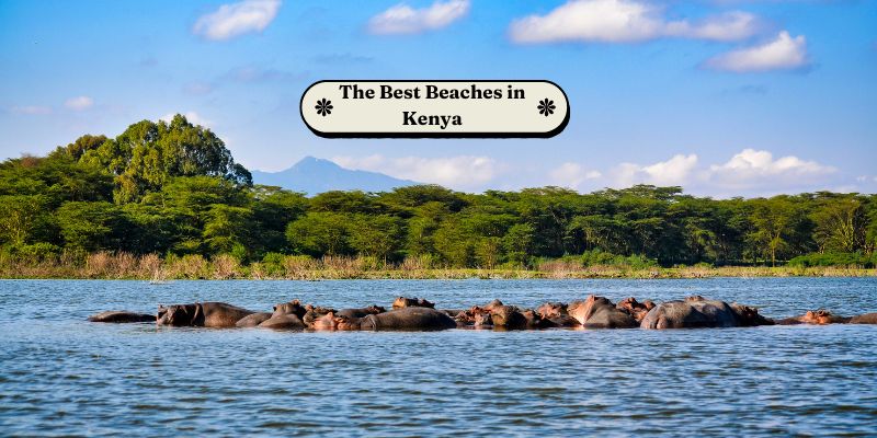 The Best Beaches in Kenya