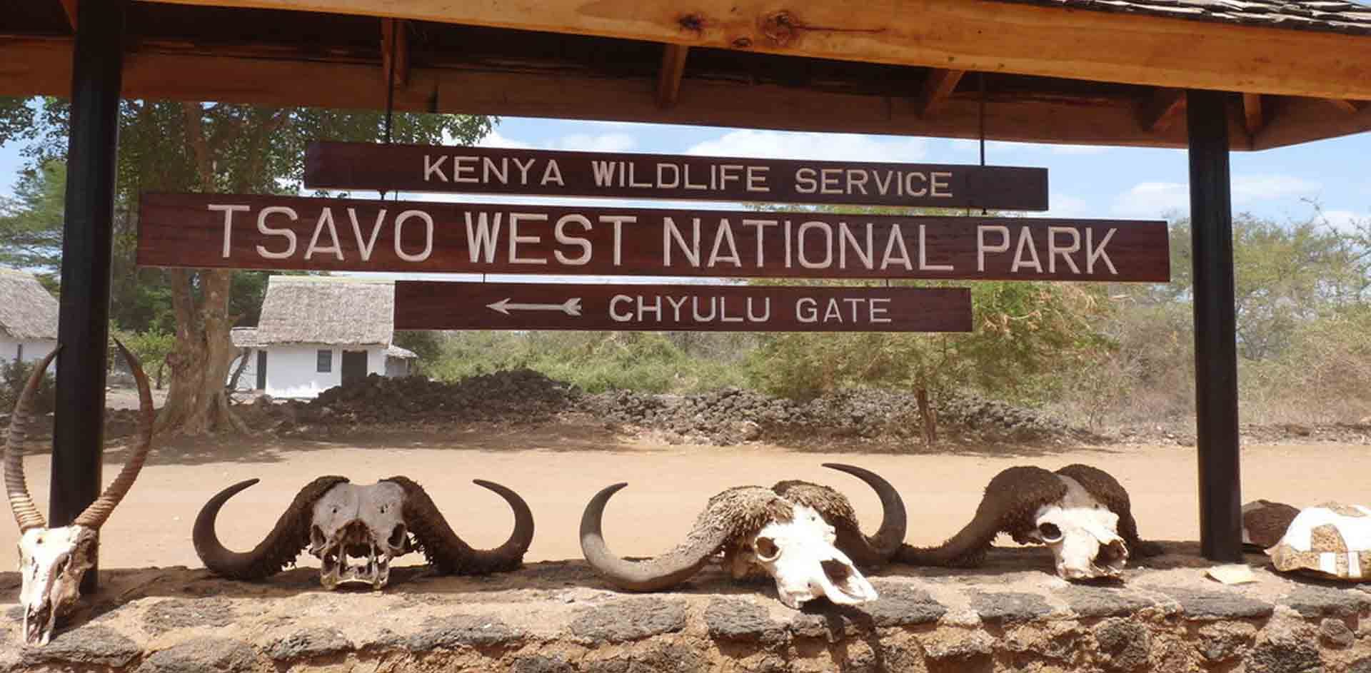 Alla scoperta della diversità di Tsavo West
