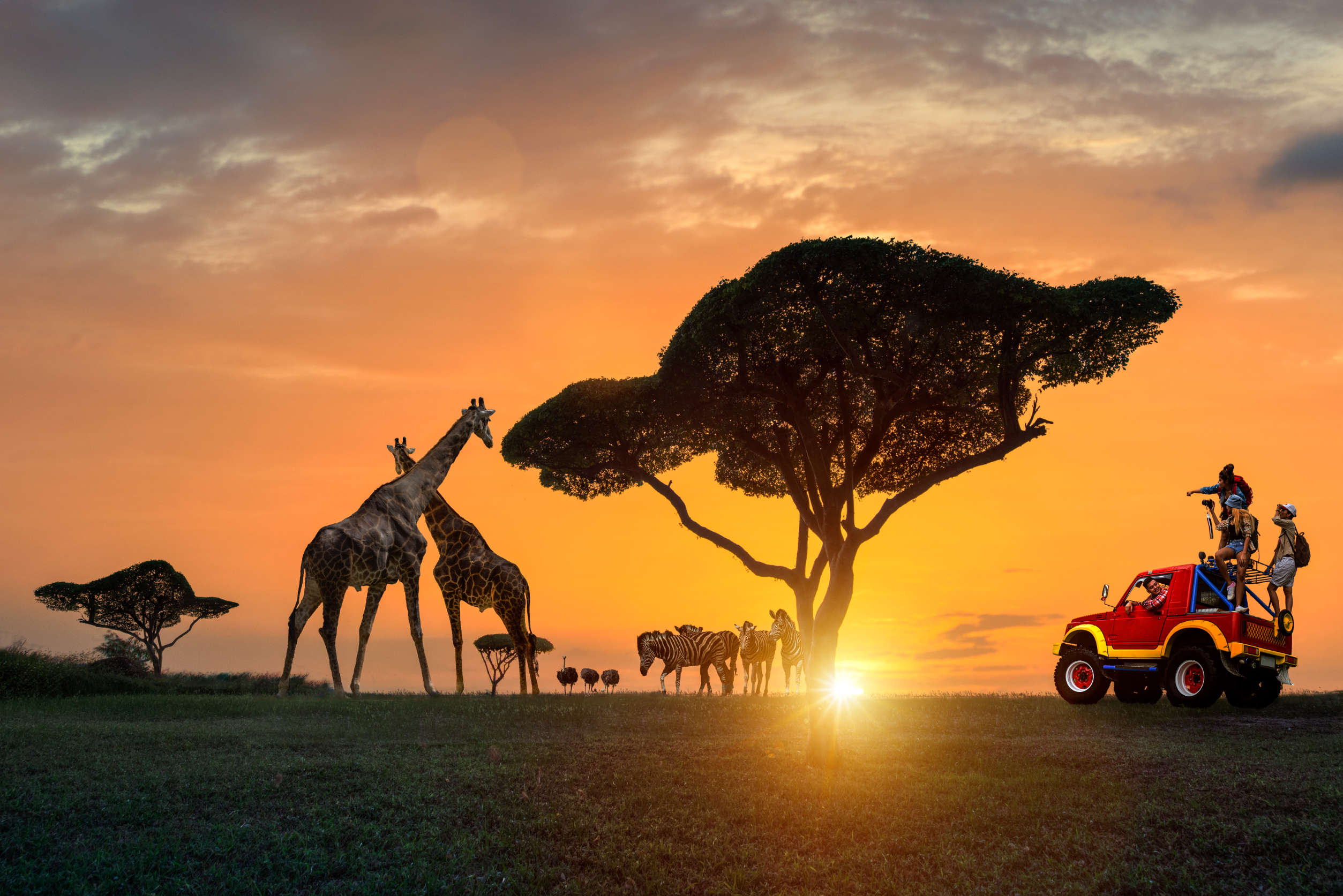 Safari al tramonto