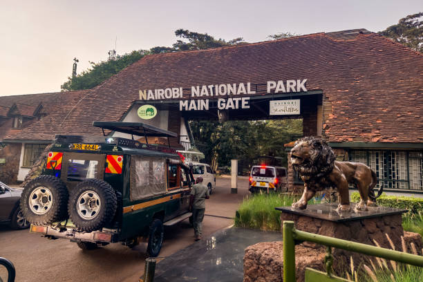 Giornate intere nella fauna selvatica e nella storia di Nairobi